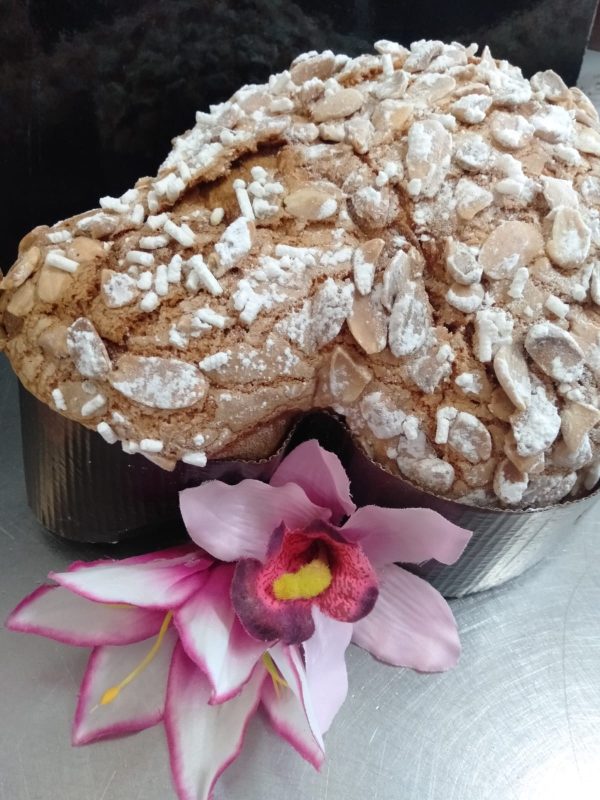 colomba